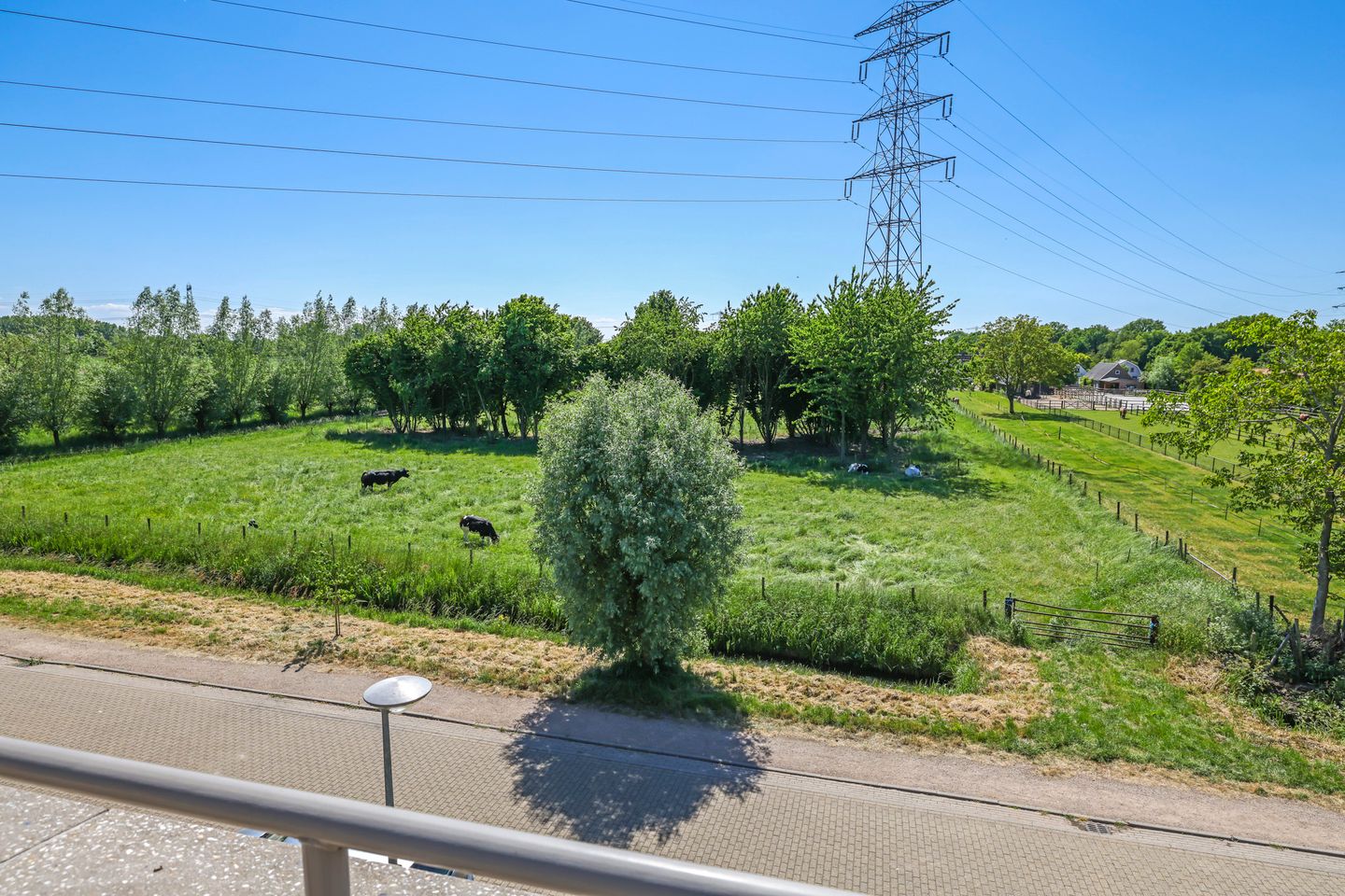 Foto 50 van Ruimoord 15