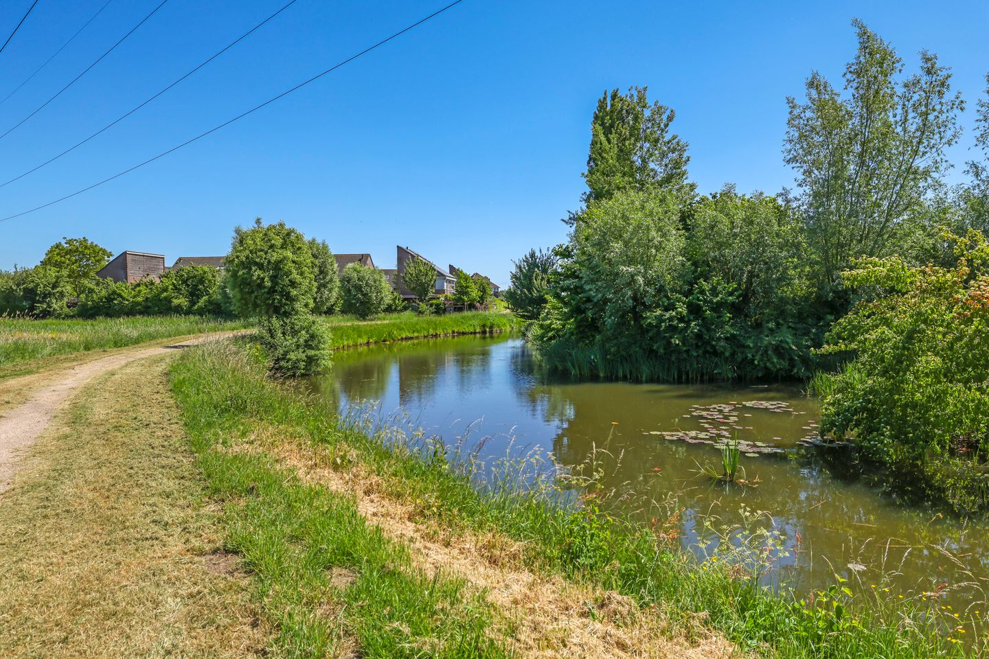 Foto 74 van Ruimoord 15