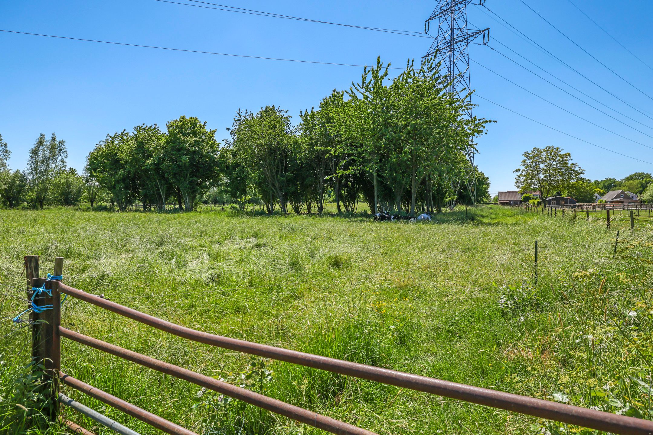 Foto 75 van Ruimoord 15