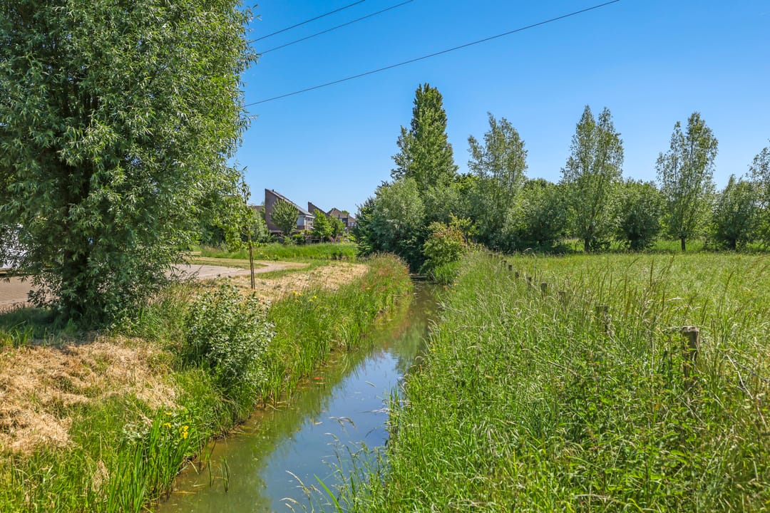 Foto 76 van Ruimoord 15