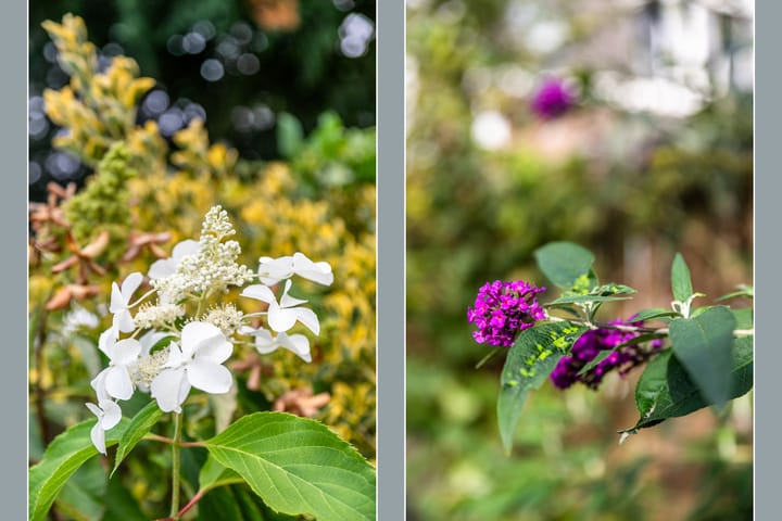 Foto 52 van Abstederdijk 197