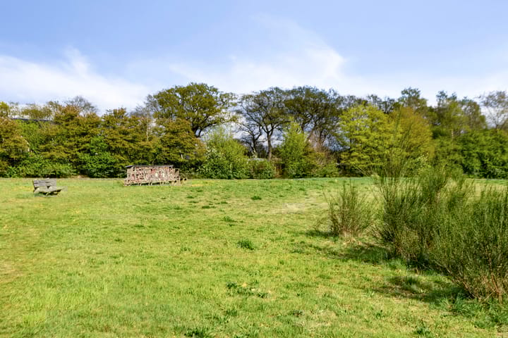 Foto 31 van Schoterlandseweg 16