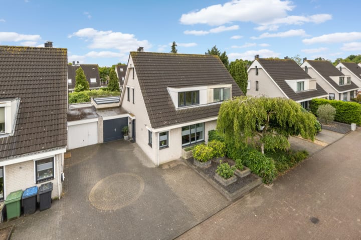 Foto 48 van Hagedisberg 5