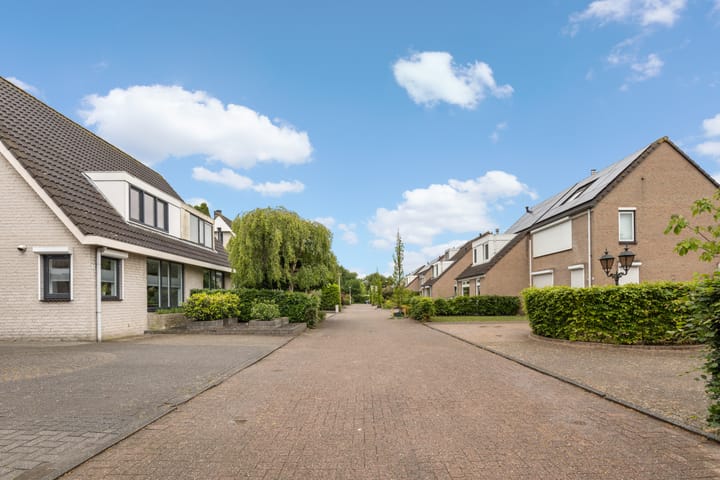 Foto 52 van Hagedisberg 5