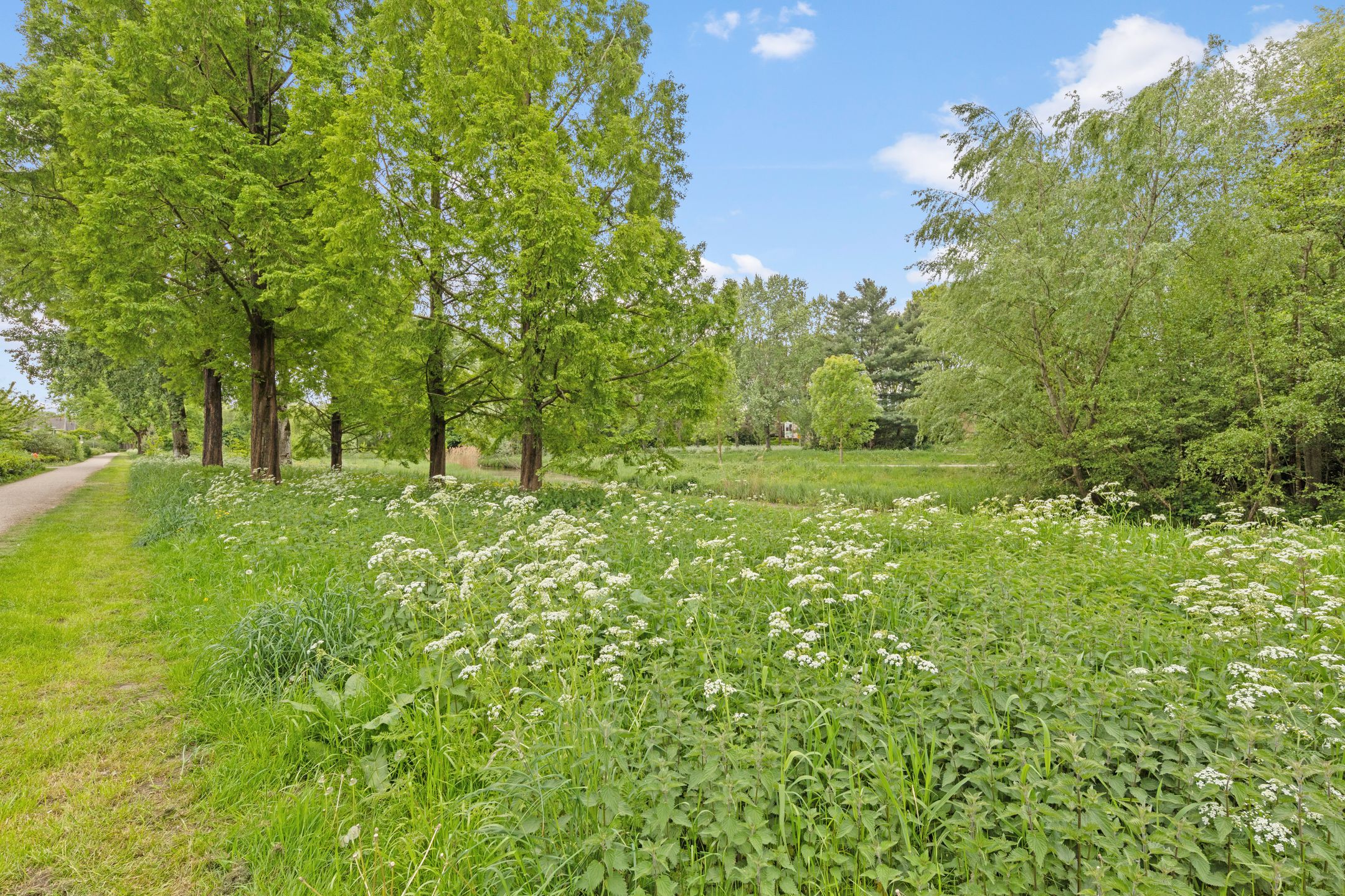 Foto 60 van Pootlaan 10