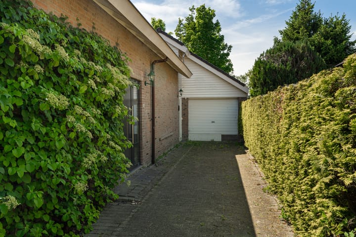 Foto 4 van Galerij 8