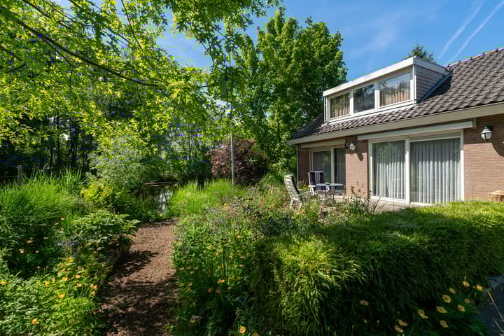 Foto 35 van Galerij 8