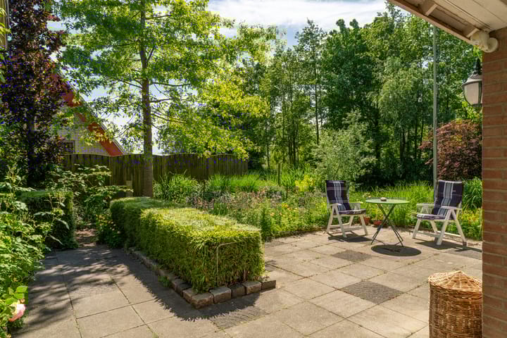 Foto 36 van Galerij 8