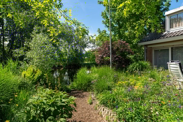 Foto 38 van Galerij 8