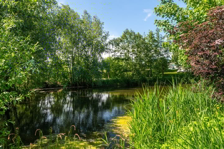 Foto 39 van Galerij 8