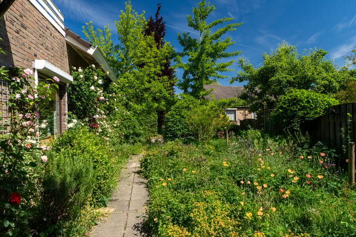 Foto 41 van Galerij 8