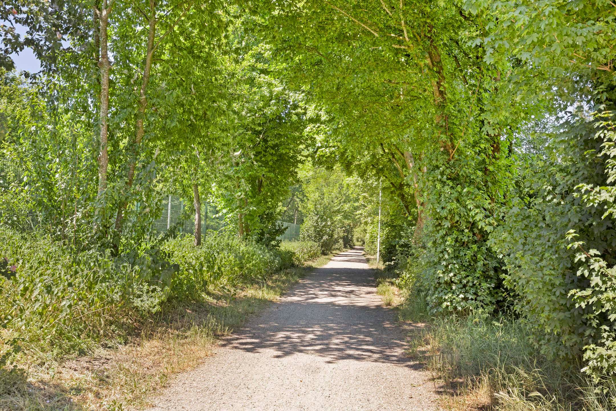 Foto 63 van Hoofdstraat 49