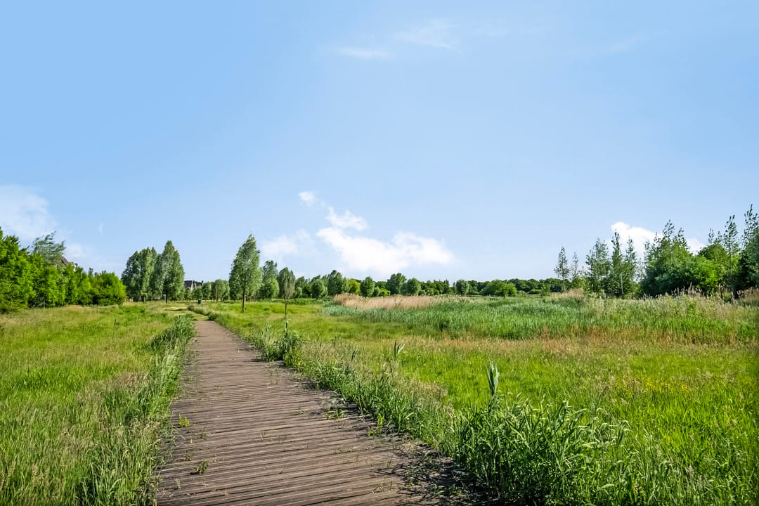 Foto 38 van De Hoeve 52