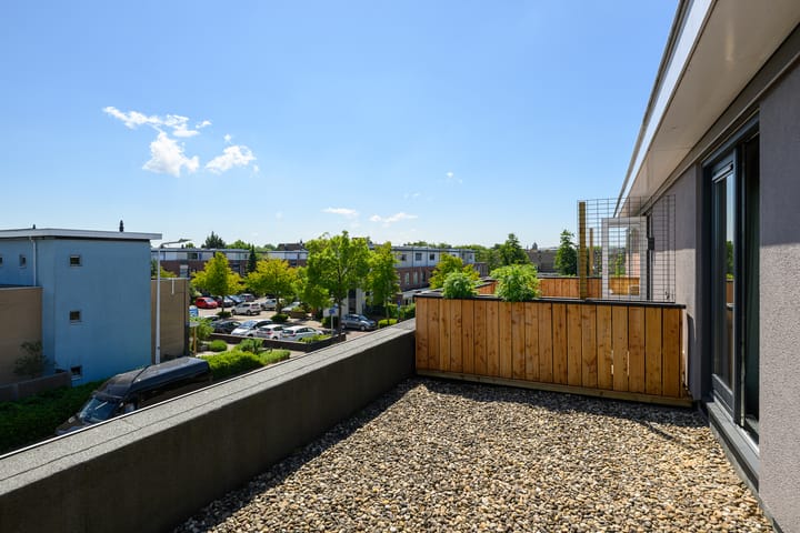 Foto 38 van Dreeslaan 248