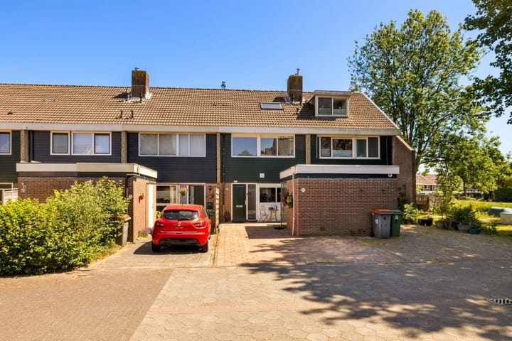 Foto 1 van Tongnaald 17