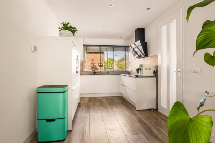 Foto 7 van Tongnaald 17