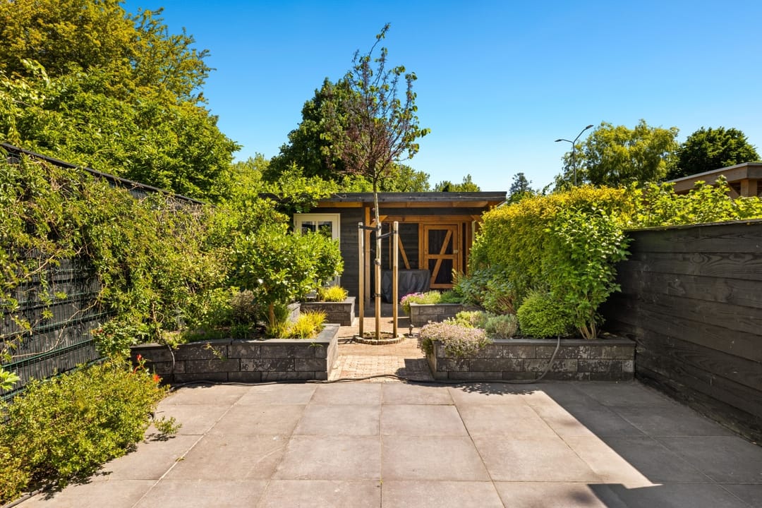 Foto 13 van Tongnaald 17