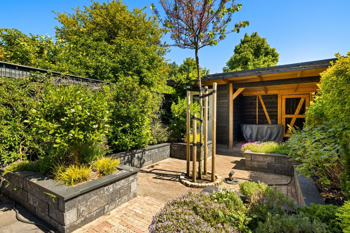 Foto 14 van Tongnaald 17