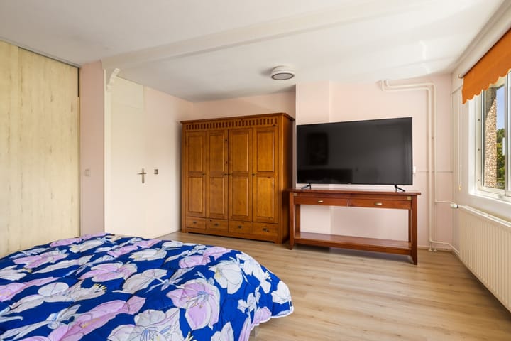 Foto 25 van Tongnaald 17