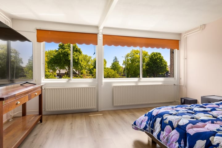 Foto 26 van Tongnaald 17