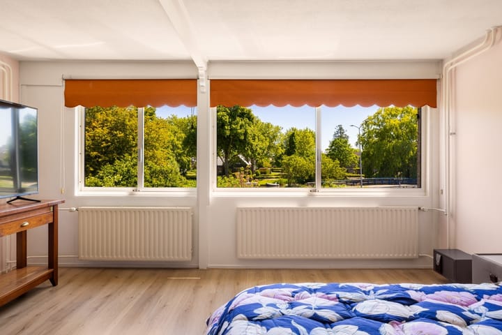 Foto 27 van Tongnaald 17