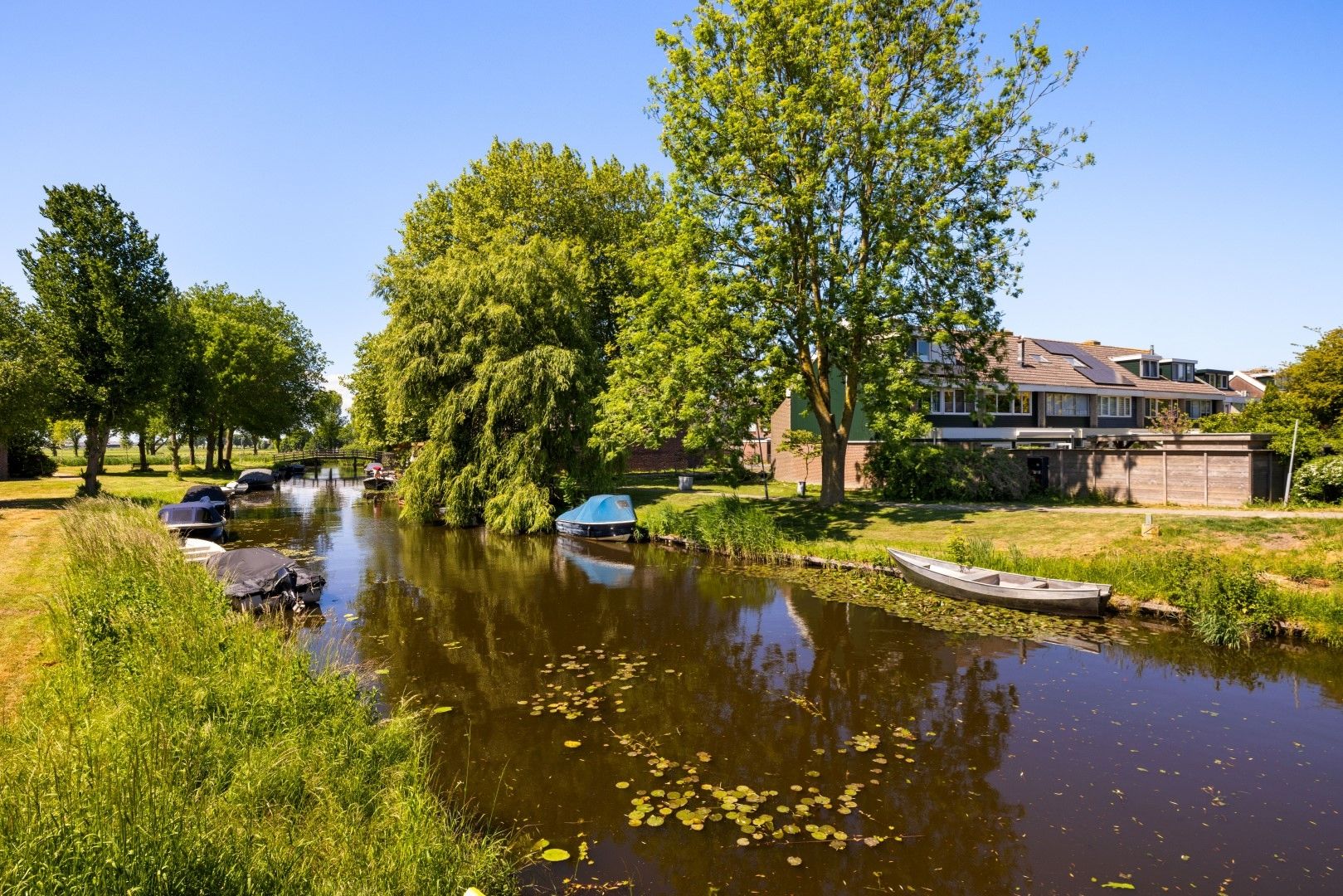 Foto 33 van Tongnaald 17