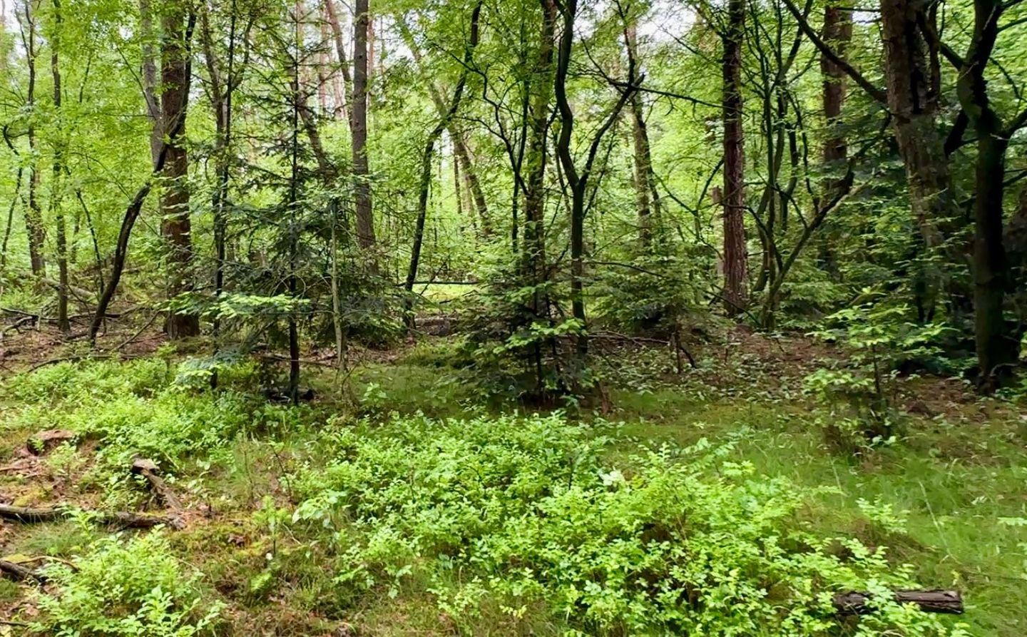 Bekijk foto 1 van Oude Hellendoornseweg
