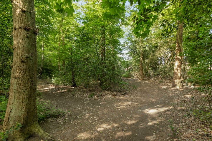 Foto 27 van Weidemaad 23