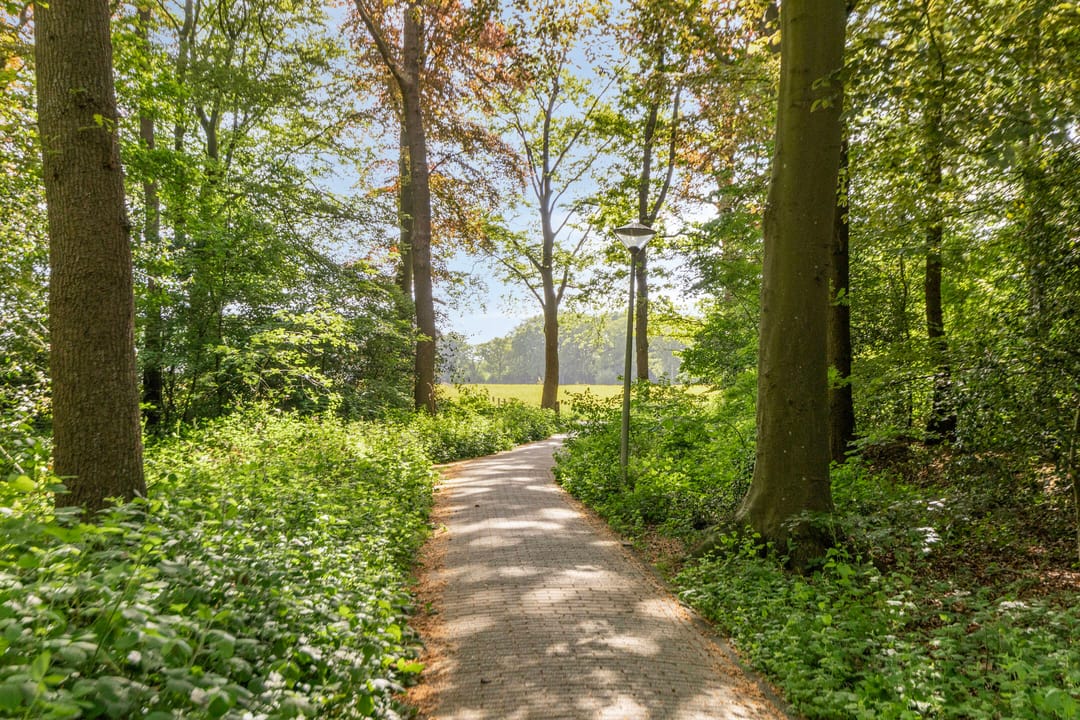 Photo 28 of Weidemaad 23