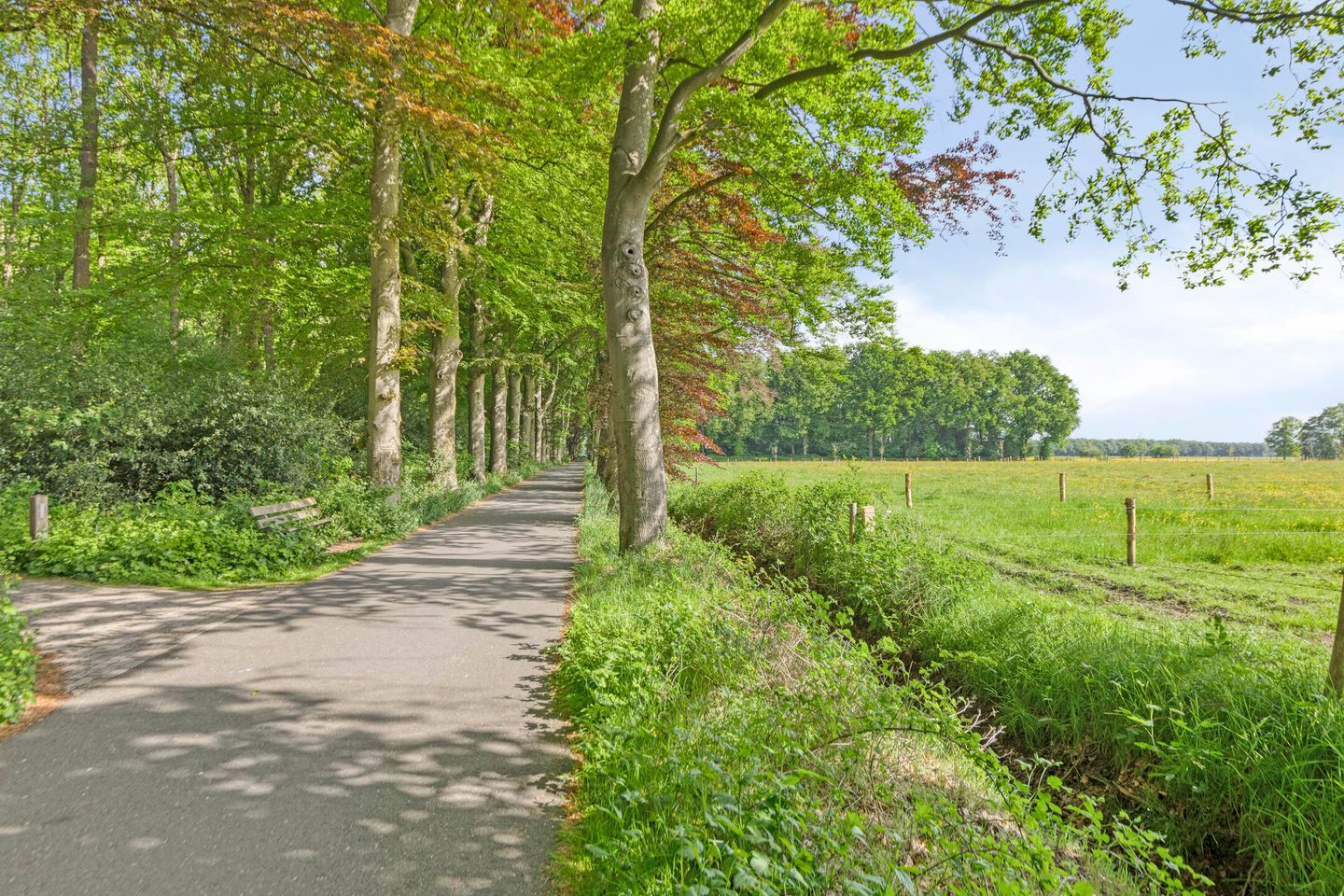 Photo 29 of Weidemaad 23