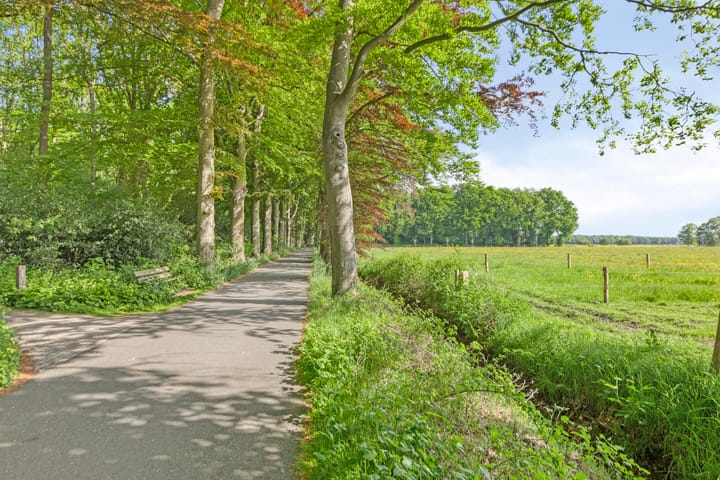 Foto 29 van Weidemaad 23