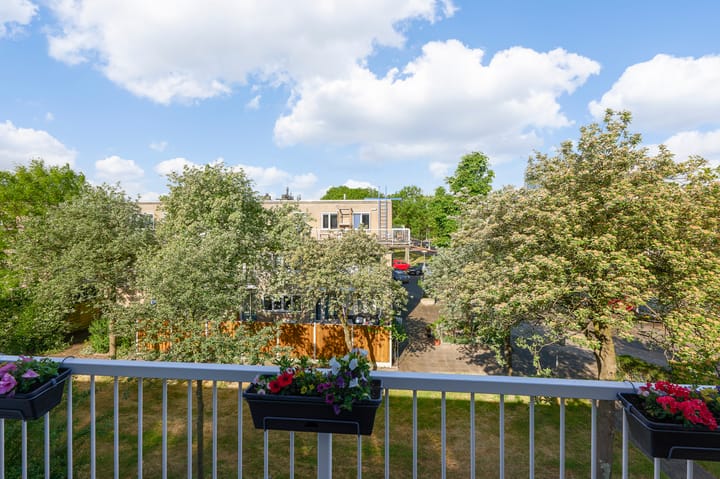 Foto 13 van Gedempte Insteekhaven 21