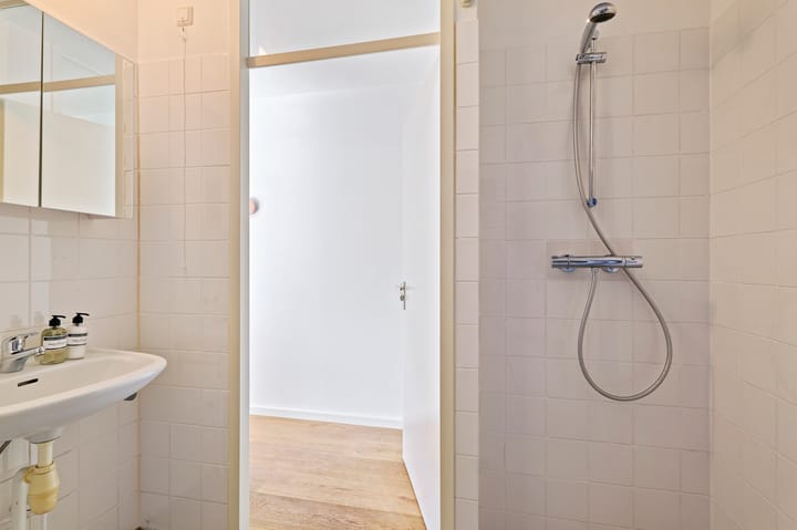 Foto 18 van Gedempte Insteekhaven 21