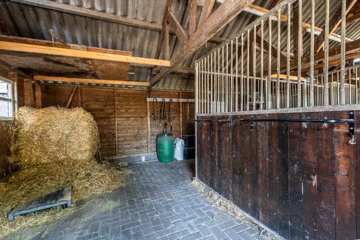 Foto 41 van Schoolkade 137