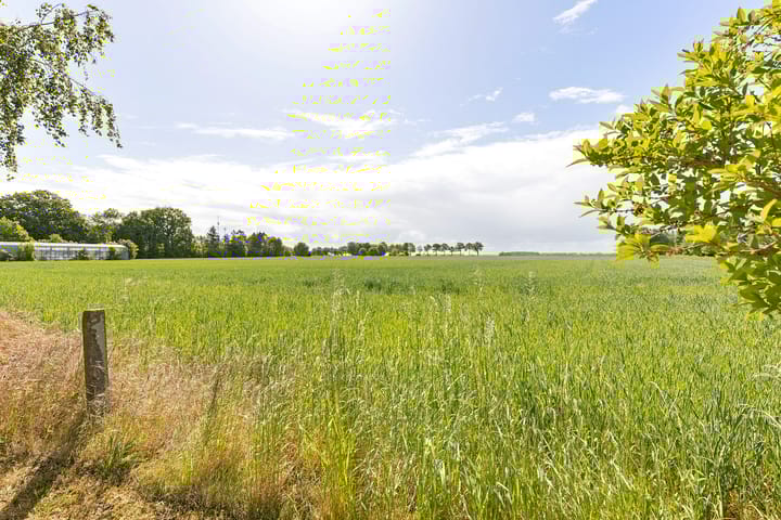 Foto 2 van Hoofdweg 207