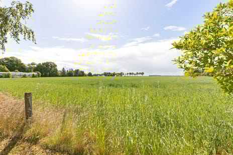 Hoofdweg 207 secondary image