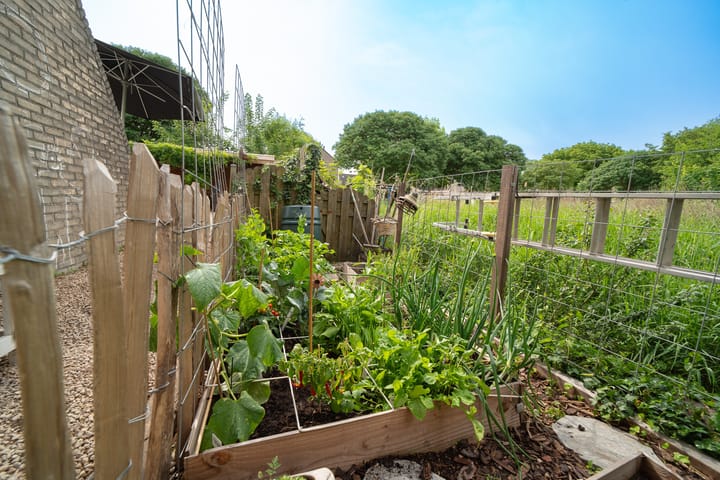 Foto 46 van Theo Kwantenstraat 36