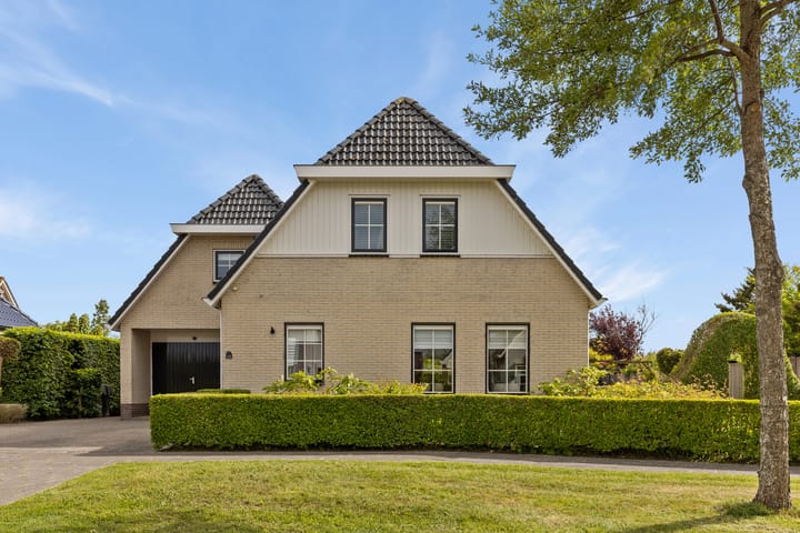 Photo 13 of Zilverschoon 13