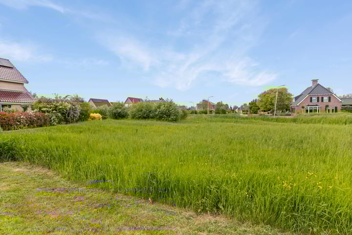 Photo 29 of Zilverschoon 13