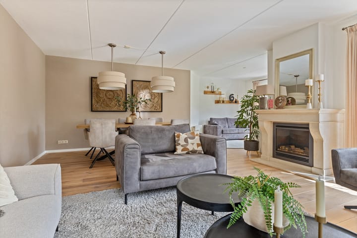 Photo 39 of Zilverschoon 13