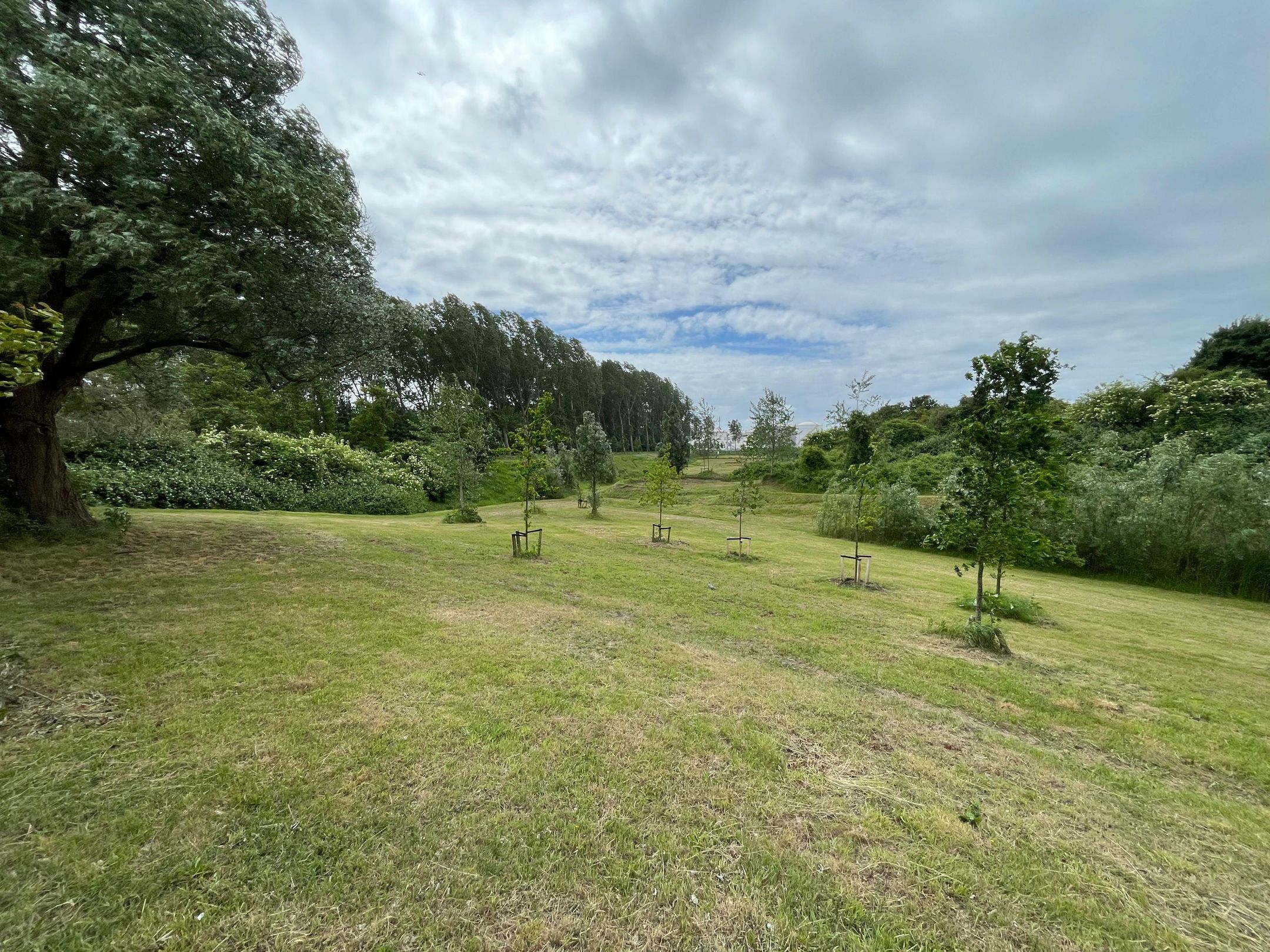 Photo 39 of Juliana van Stolberglaan 12