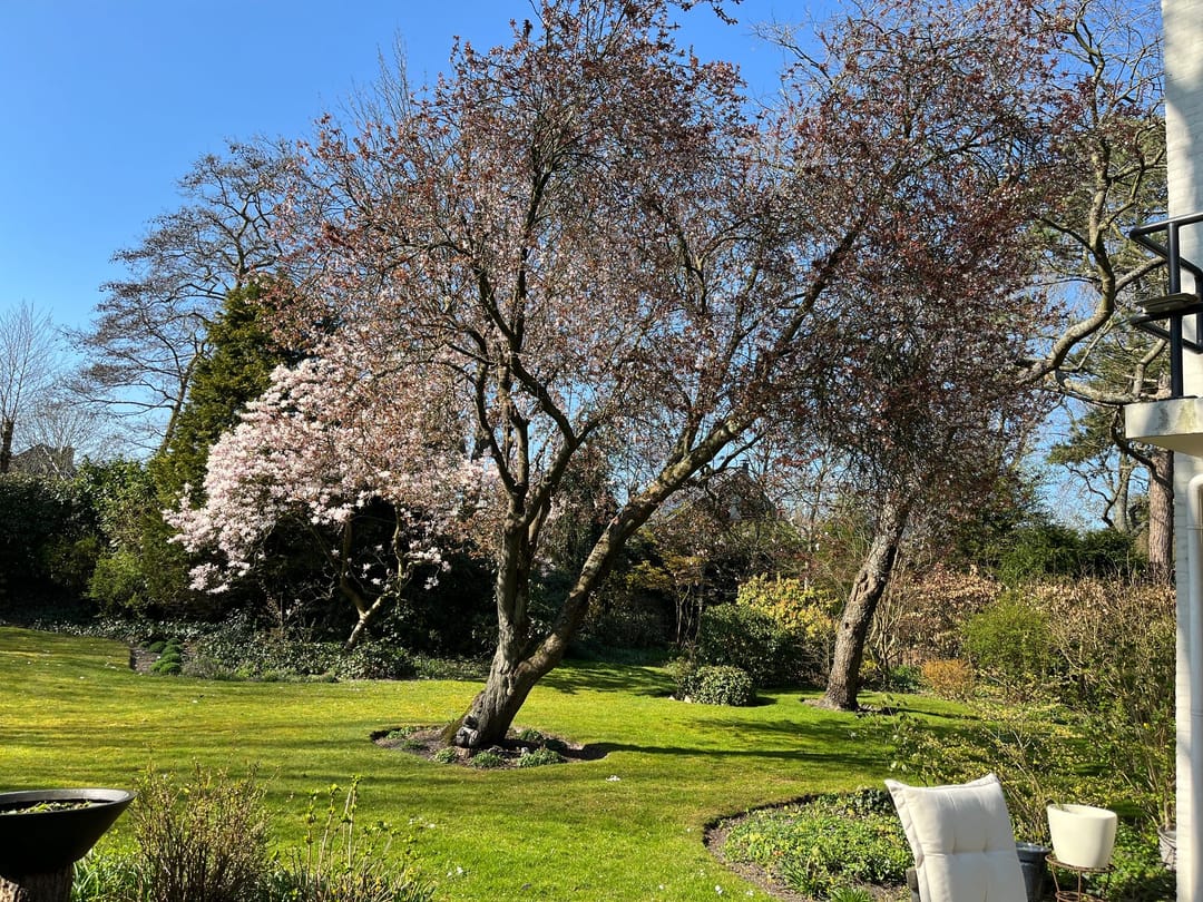 Foto 53 van Huismansweg 11