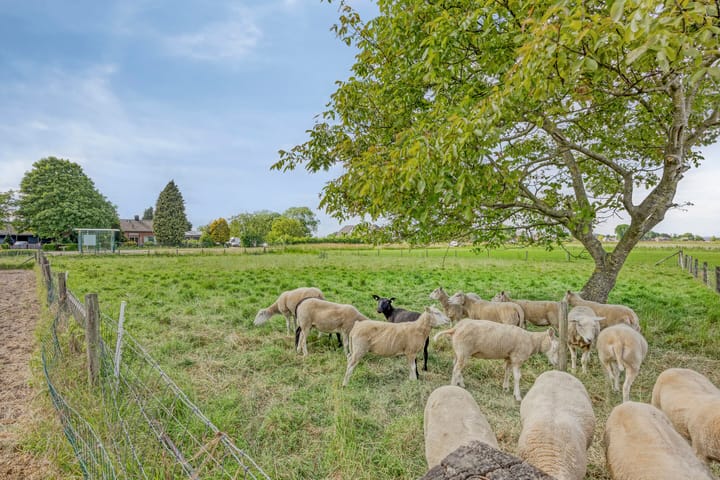 Foto 41 van Zutphen-Emmerikseweg 12