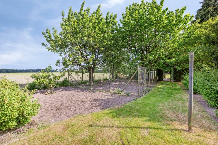 Foto 32 van Zutphen-Emmerikseweg 12