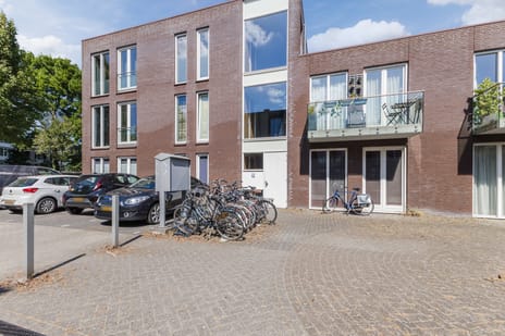 undefined main image