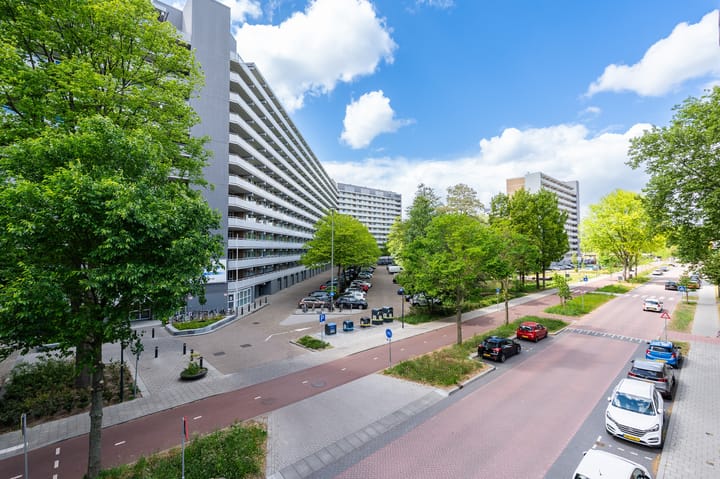 Griegplein 67