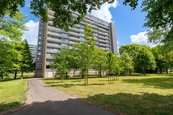 Foto 11 van Griegplein 67