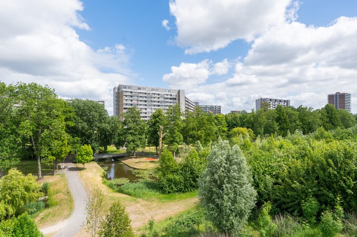 Foto 14 van Griegplein 67