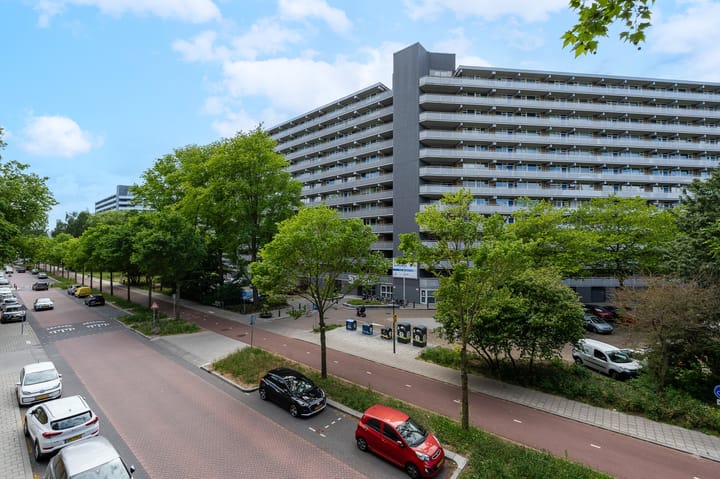 Griegplein 91