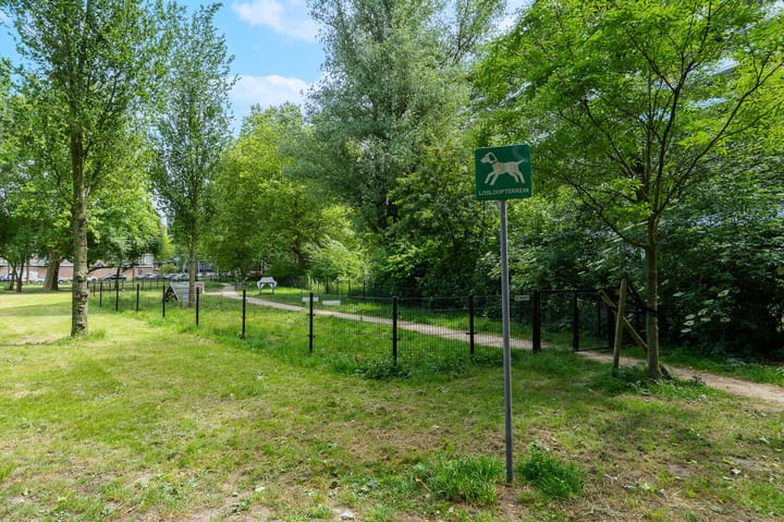 Foto 14 van Griegplein 91